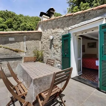 Vecchio Mulino Fontona Girasole