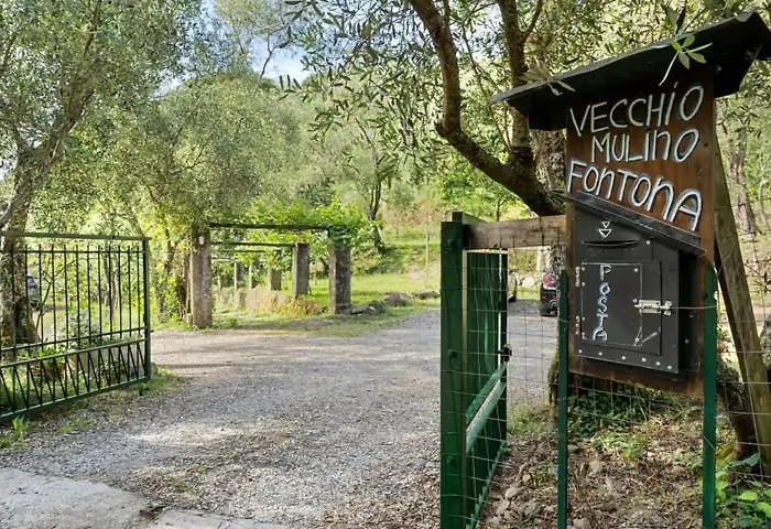 Vecchio Mulino Fontona Girasole *