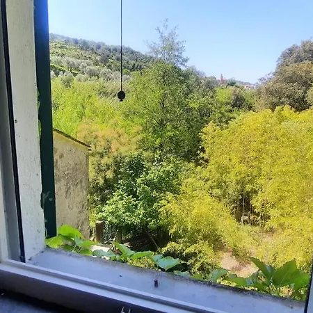 Vecchio Mulino Fontona Girasole *