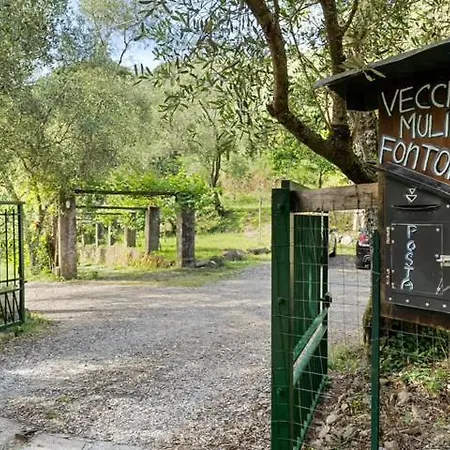 Vecchio Mulino Fontona Girasole *