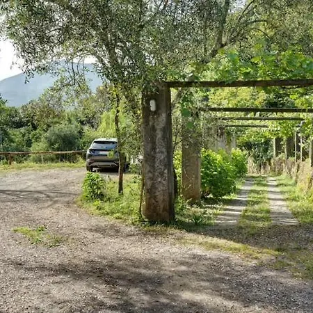 Vecchio Mulino Fontona Girasole