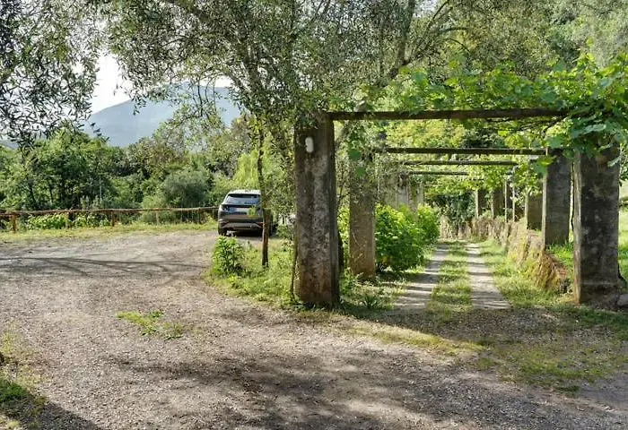 Vecchio Mulino Fontona Girasole